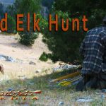 Chasse traditionnelle à l'arc de l'élan en Idaho - DIY, selfbow, public land