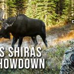 Chasse à l'orignal en Alberta - Pat's Shiras Showdown