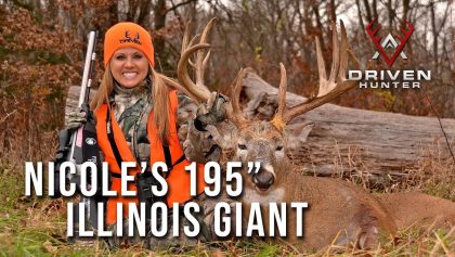 "EST-IL EN BAS ? Le géant de l'Illinois de 195" de Nicole
