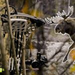 Ma première chasse avec le NOUVEAU Mathews Phase4 ! | Chasse à l'arc à l'orignal du Yukon