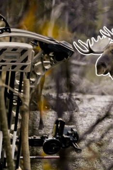 Ma première chasse avec le NOUVEAU Mathews Phase4 ! | Chasse à l'arc à l'orignal du Yukon
