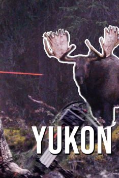 Nous avons fait venir un orignal géant du Yukon !