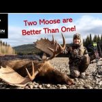 Tir à l'arc Yukon Moose : Une rivière le traverse
