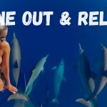 Dolphins Reef Relax 4k Ocean Peaceful Ambience background visuals Drone footage @fishhuntressamy