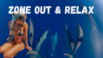 Dolphins Reef Relax 4k Ocean Peaceful Ambience background visuals Drone footage @fishhuntressamy