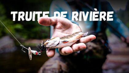 À la recherche de GROSSES TRUITES! Pêche à la truite en rivière, Québec 2023