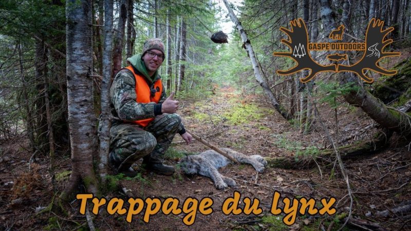 Trappage au Québec | Saison 2022-2023 | Épisode 6 | Piégeage du lynx