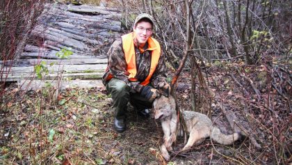 Trappage du coyote au collet 2011-10-23