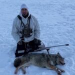 Chasse au coyote tirer a 480 verges