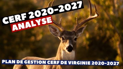 Analyse du Plan de gestion Cerf de Virginie 2020-2027  | Pierre’s Adventures