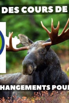 La nouvelle réalité des cours de chasse au Québec pour 2020 | Pierre's Adventures
