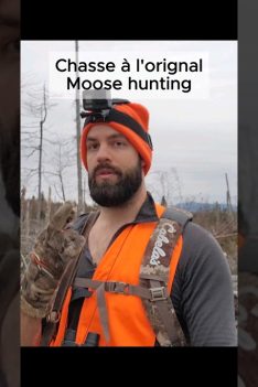 Chasse a l'orignal a l'approche! #chasse #hunting #moosehunting