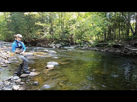 Pêche à la truite | Au Québec coule une rivière | Épisode 6