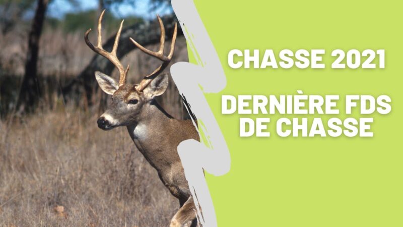Chasse Chevreuil 2021 Dernière fds Carabine (Ep.12)