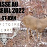 CHASSE AU CHEVREUIL 2022 - Lac-St-Jean - TERRITOIRE LIBRE - Arbalète -  Deer hunting
