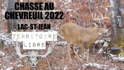 CHASSE AU CHEVREUIL 2022 - Lac-St-Jean - TERRITOIRE LIBRE - Arbalète -  Deer hunting