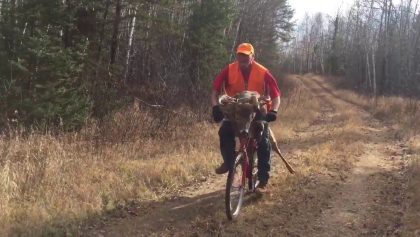 Traîner des cerfs à bicyclette ?