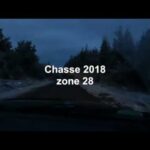 Vidéo chasse orignal 2018 - buck sur le call