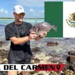 Parti pêcher au MEXIQUE ! (Beach Fishing)