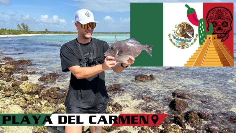 Parti pêcher au MEXIQUE ! (Beach Fishing)